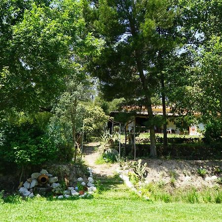 Quinta Do Vale Grande Villa Albergaria-a-Velha Bagian luar foto