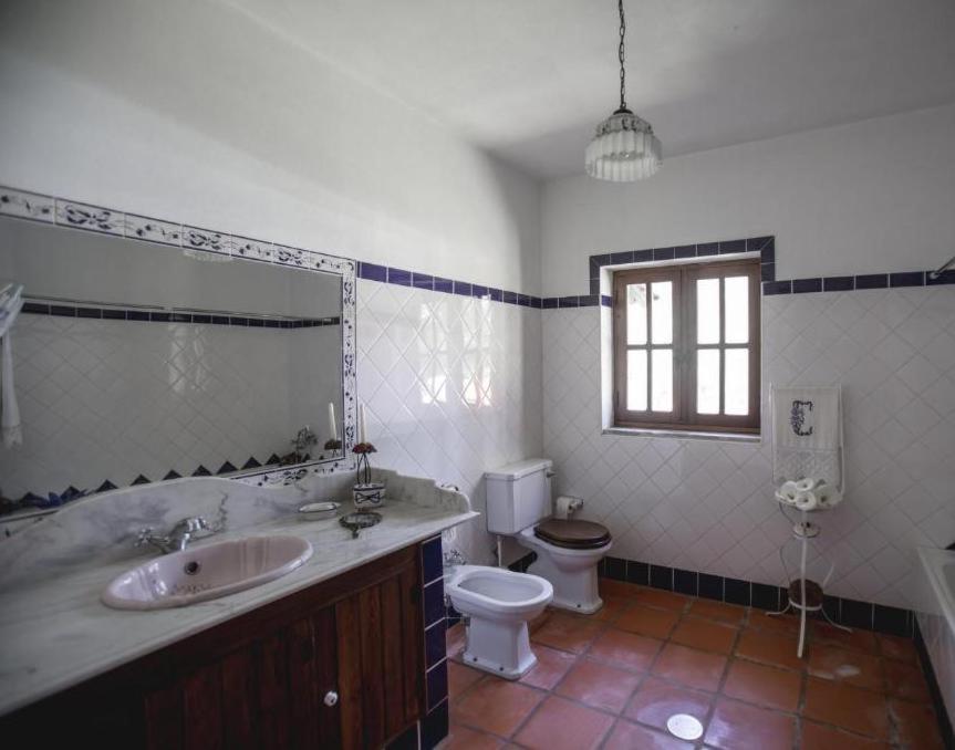 Quinta Do Vale Grande Villa Albergaria-a-Velha Bagian luar foto