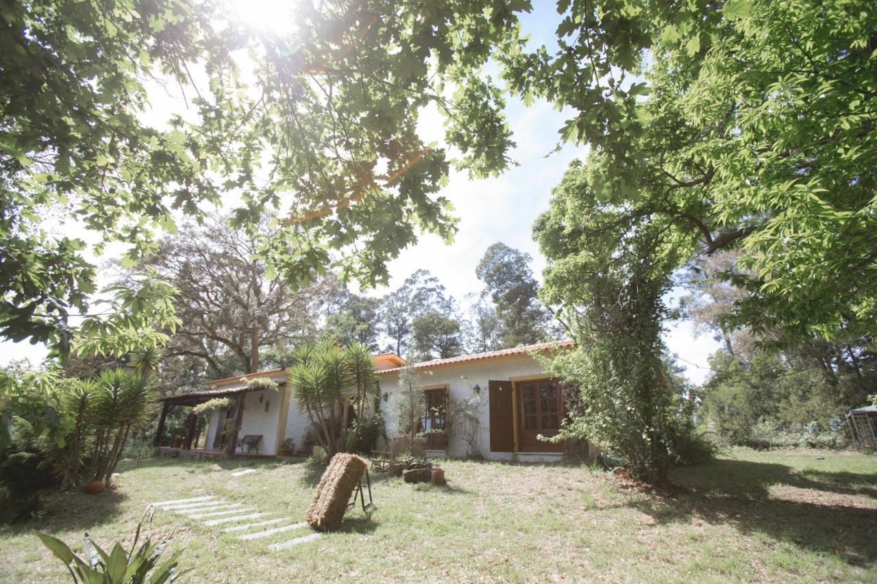 Quinta Do Vale Grande Villa Albergaria-a-Velha Bagian luar foto