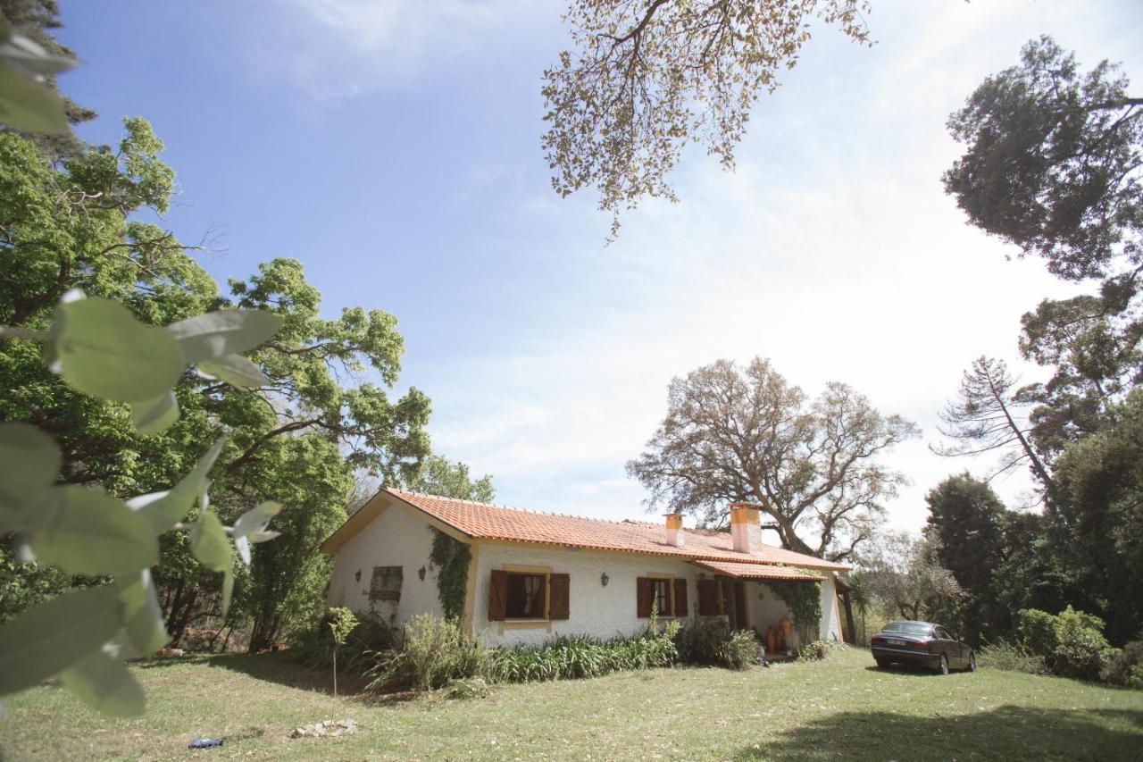 Quinta Do Vale Grande Villa Albergaria-a-Velha Bagian luar foto
