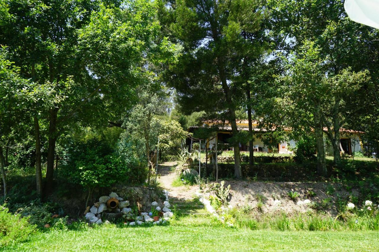 Quinta Do Vale Grande Villa Albergaria-a-Velha Bagian luar foto