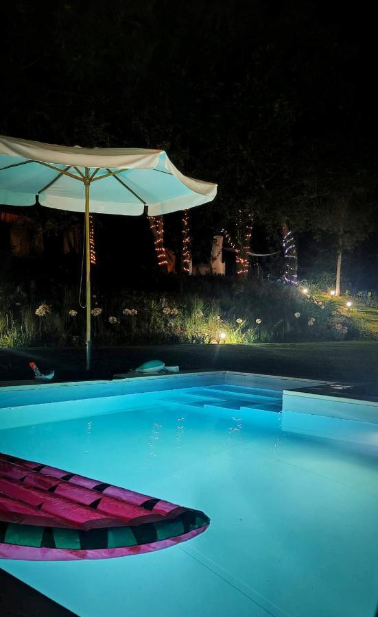 Quinta Do Vale Grande Villa Albergaria-a-Velha Bagian luar foto