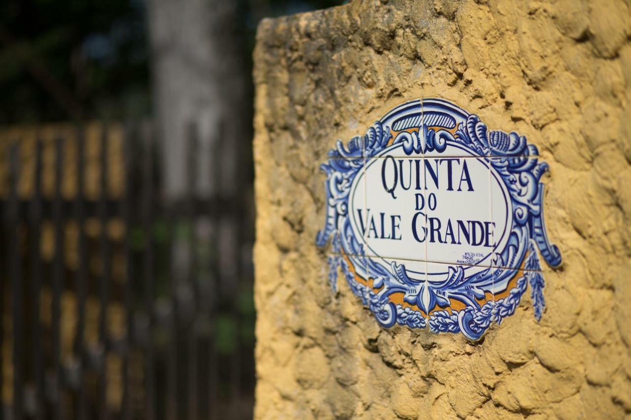 Quinta Do Vale Grande Villa Albergaria-a-Velha Bagian luar foto
