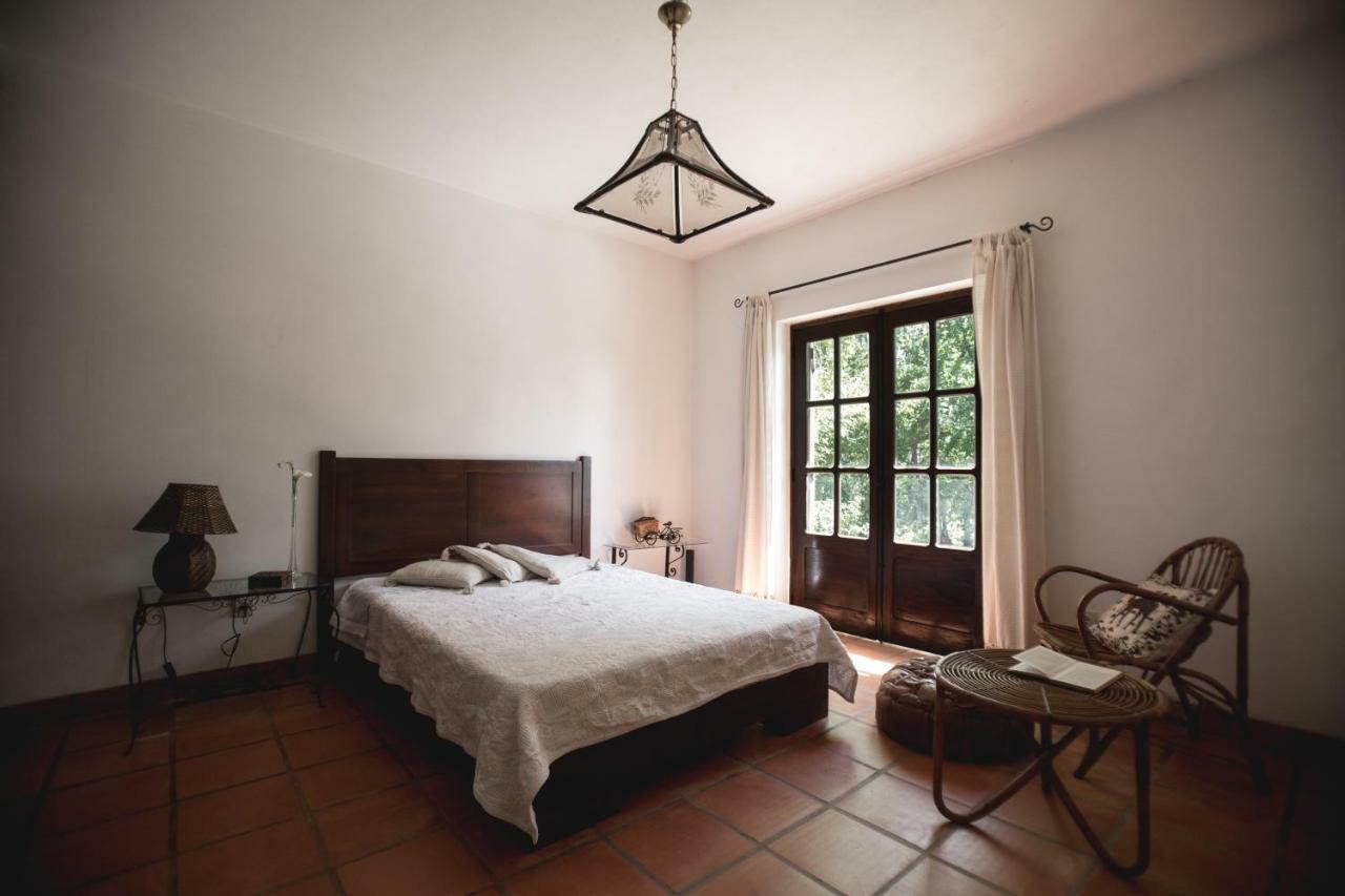 Quinta Do Vale Grande Villa Albergaria-a-Velha Bagian luar foto